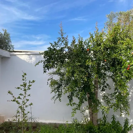 La Graziosa Casa de Férias Porto Cesareo